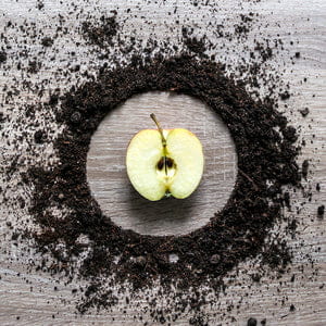 Elevatp as ingredient.