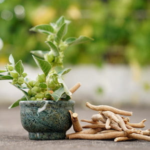 Ksm-66 ashwagandha as ingredient.